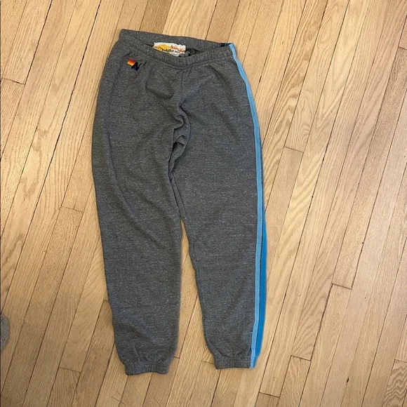Aviator Nation Gray Track Joggers & Zip Hoodie with Blue Stripe Accents - Picture 3 of 8
